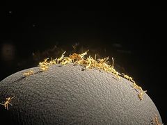 -深圳珠宝博物馆