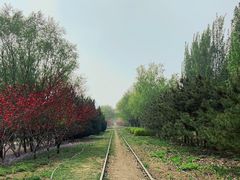 -永定河休闲森林公园