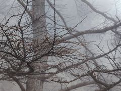 -崂山巨峰游览区