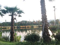 -枫香湖儿童公园