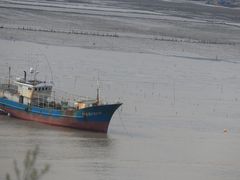-北岐滩涂