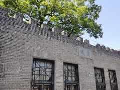 -桃花堤公园