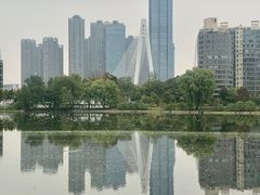 -月湖风景区