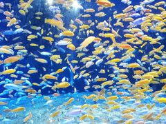 -成都浩海立方海洋公园