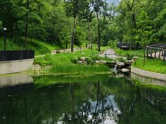 -白水寺森林公园