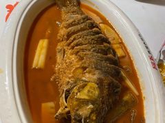 红烧黄河鲤鱼-阿五黄河大鲤鱼(纬三路店)