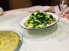 -陶然饺子城(奥体中路店)