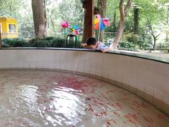 -杭州少年儿童公园