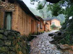 -杨家堂村