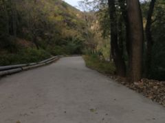 -雾灵西峰