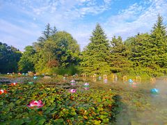 -白马涧龙池景区