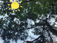 -北京西山国家森林公园