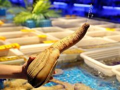 -驻海渔市(置信店)