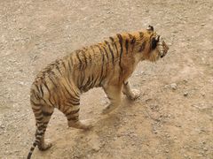 -济南野生动物世界