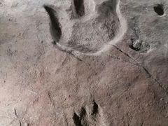 -湖南省地质博物馆