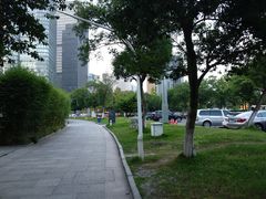 -杭州大剧院-停车场