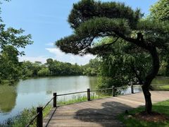 -新荣记(西溪湿地店)