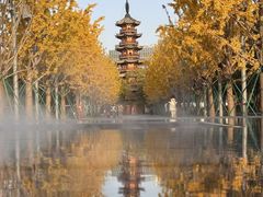 -龙华素斋(龙华路店)