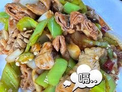 尖椒肥肠-王鹏家常菜馆