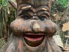 -呀路古热带植物园