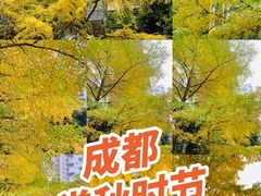 -华润·二十四城