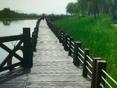 -太湖湖滨国家湿地公园-停车场