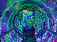 -成都梵高星空艺术馆(春熙路旗舰店)