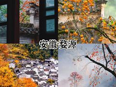 -婺源风景区