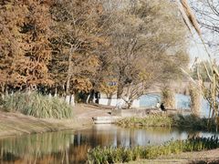 -长广溪湿地公园