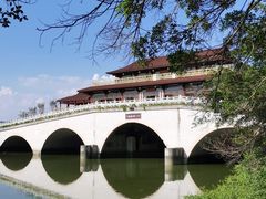 -大湾区中央湿地公园