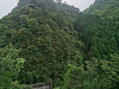 -娄山关景区