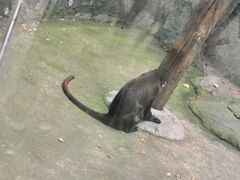 -南昌动物园