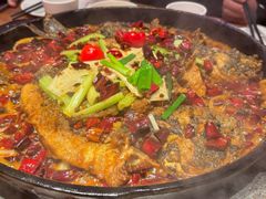 -老板恋上鱼(恒隆广场店)