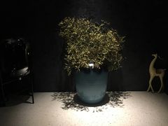 -璞·澐间影院式足道SPA(尚悦湾店)