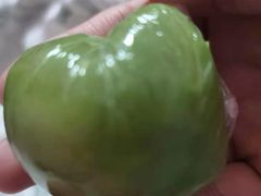 -东华大学第一食堂(松江校区店)