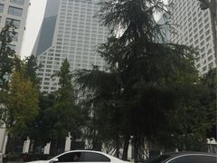 -成都雅诗阁来福士