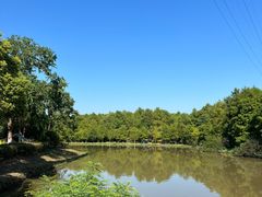 -上海海湾国家森林公园