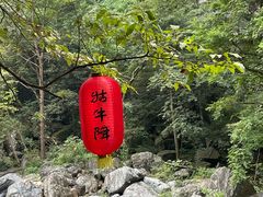 -石台牯牛降景区