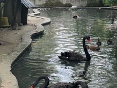 -水绘园