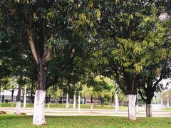 -广州国际生物岛