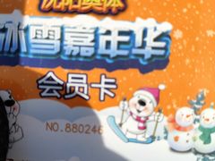 -沈阳奥体冰雪嘉年华