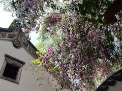 -深圳国际园林花卉博览园