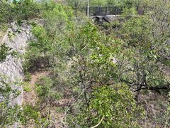 -北京鹫峰国家森林公园