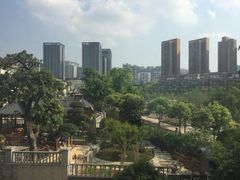 -沐仙湖湿地公园
