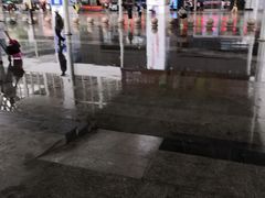 -海口东站