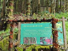 -井冈山风景名胜区