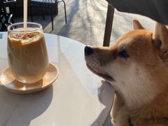 -BUND·FIVE外滩5号(天际店)