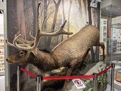 -北京中医药大学-中医药博物馆