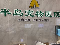 -半岛宠物医院24小时(科华中路店)