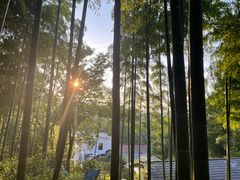 -Cafe In Little Forest